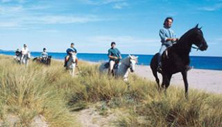 Une balade à cheval à Fréjus