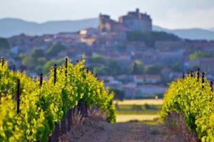 La Route des vins du Languedoc-Roussillon